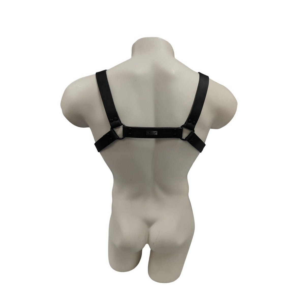 Dany Steel Echtleder Brustharness mit Kette