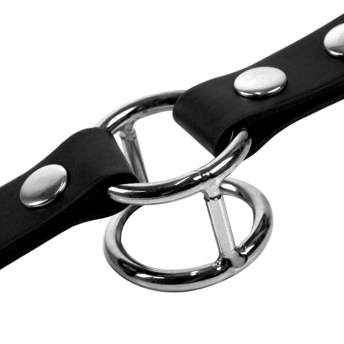 Polyester Bondage Seil 10m