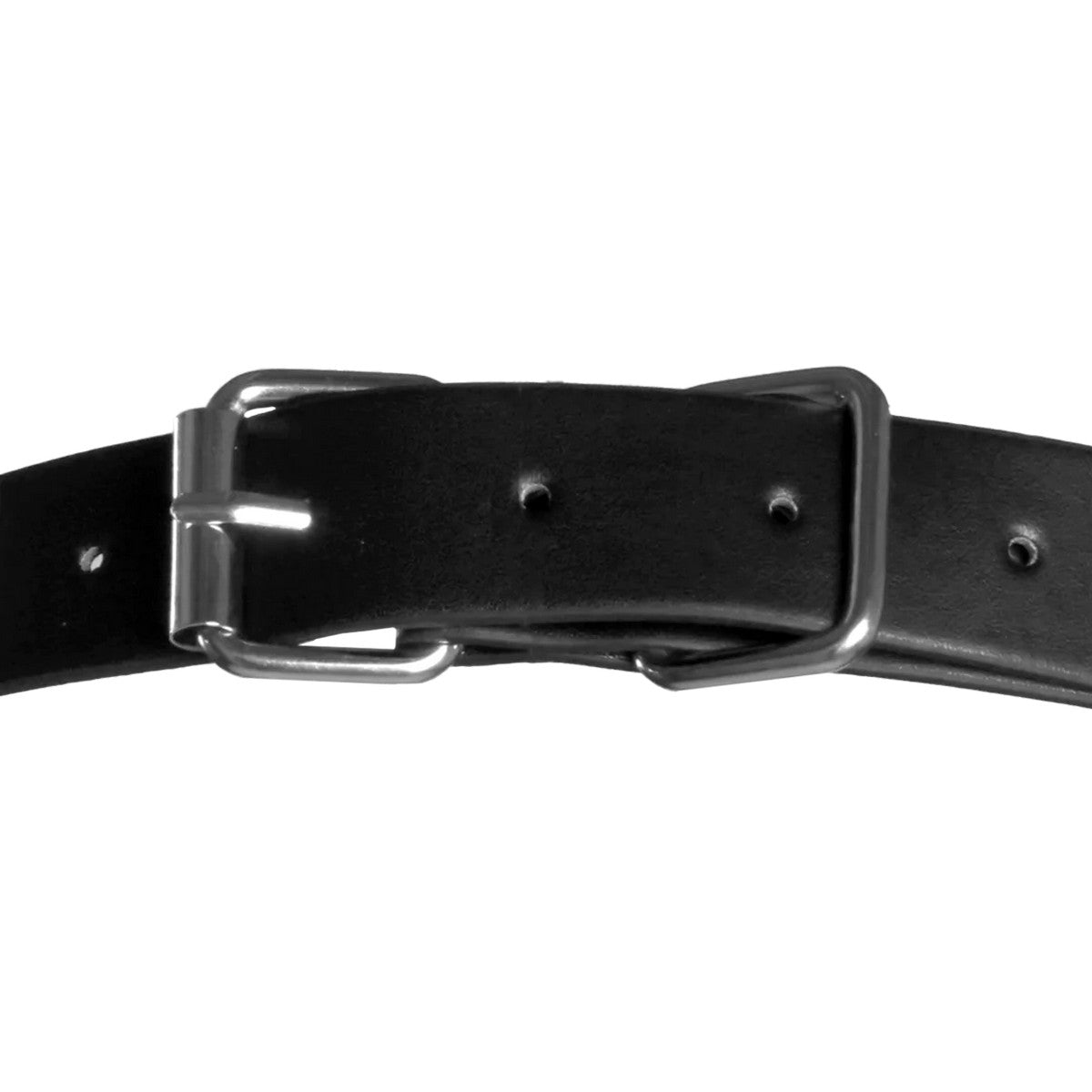 Polyester Bondage Seil 10m