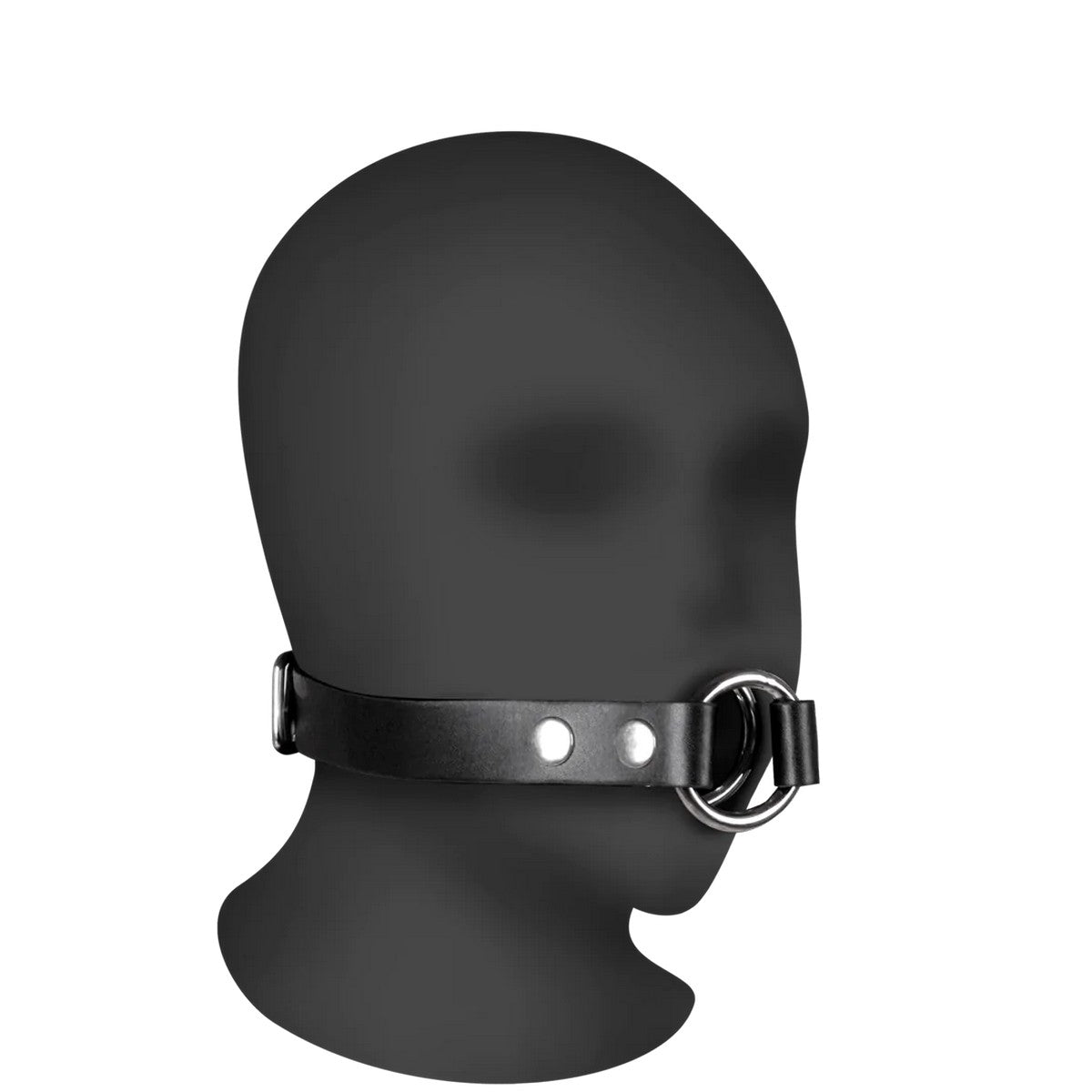 Polyester Bondage Seil 10m